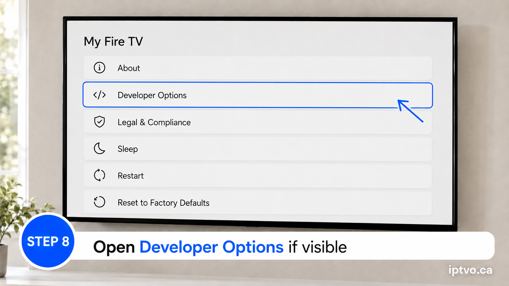 Step 8: Open Developer Options