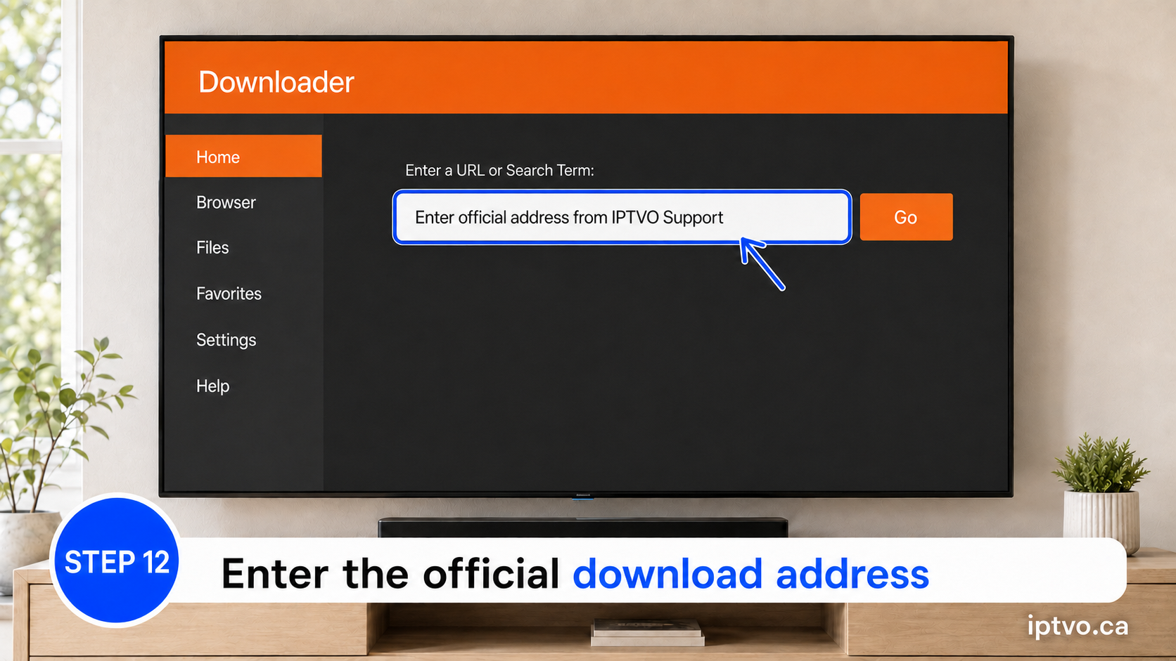 Step 12: Enter the official address supplied by IPTVO Support