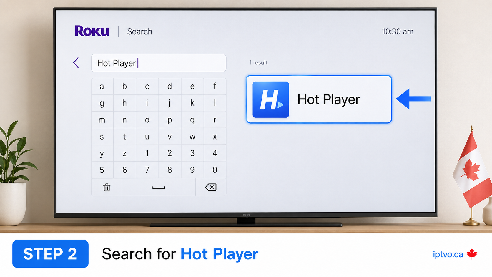 Roku Step 2: Search for Hot Player